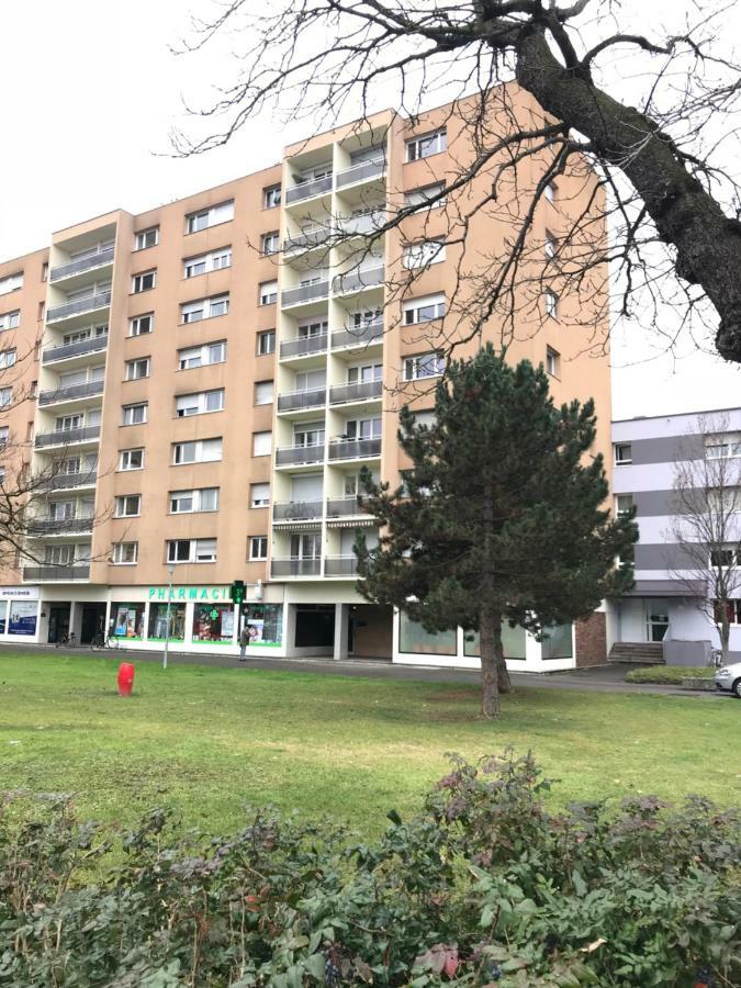 Bel Appartement near Bâle Mulhouse Airport Saint-Louis  Exterior foto
